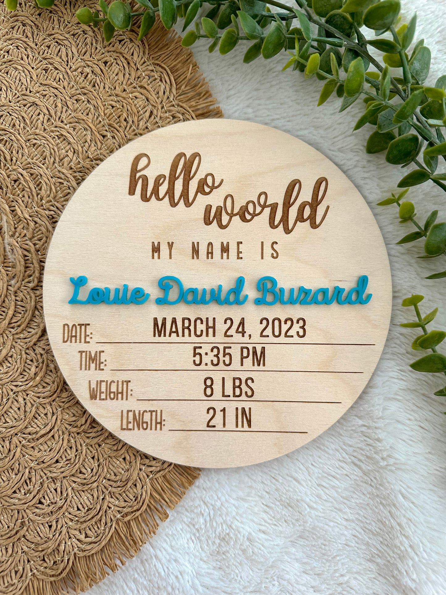 Hello World Baby Announcement Sign